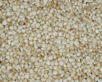 Global B2B directory Global trade lead